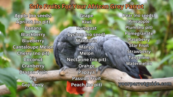 List of safe fruits for your African grey parrot